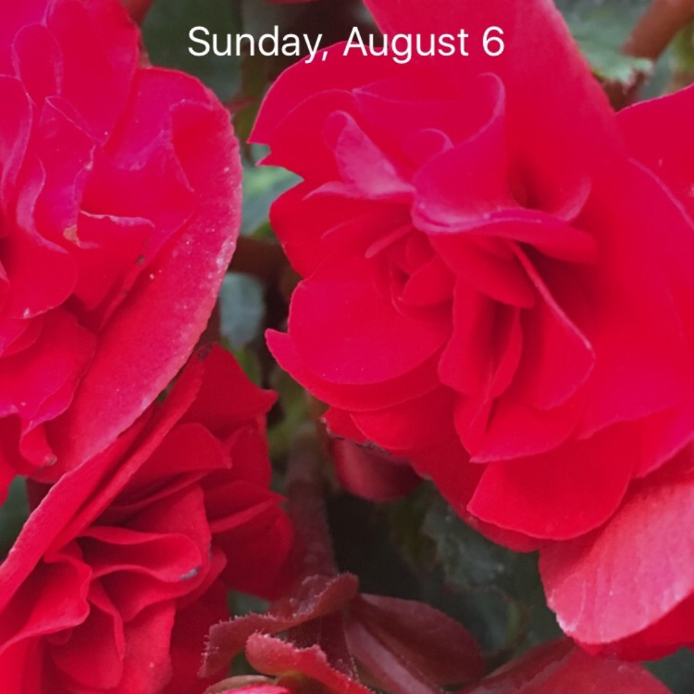 Meet your Posher, Jodi